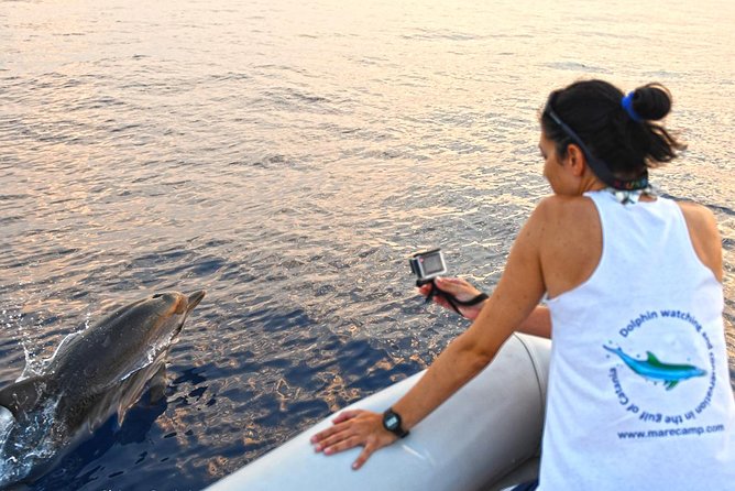 Dolphin Watching & Conservation - Dolphins in the Gulf of Catania - Key highlights worth planning for