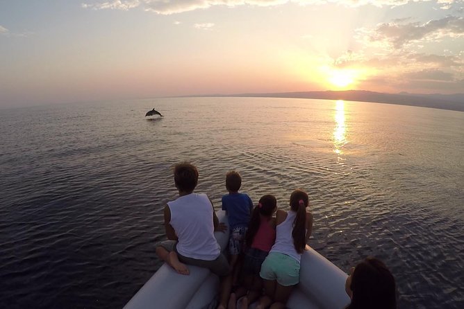 Dolphin Watching & Conservation - Dolphins in the Gulf of Catania - First impressions: what this dolphin tour gets right