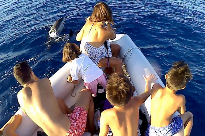 Dolphin Watching & Conservation - Dolphins in the Gulf of Catania - Marine biologist time: what you learn and how it changes the spotting game