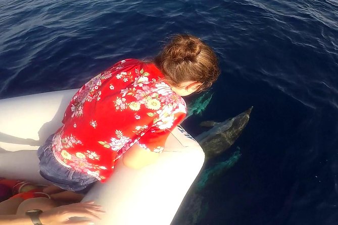 Dolphin Watching & Conservation - Dolphins in the Gulf of Catania - How the search works: low-speed cruising and 80% odds