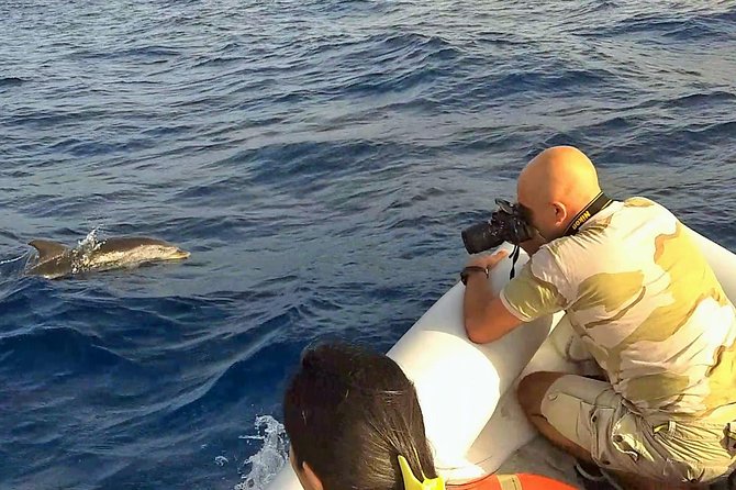 Dolphin Watching & Conservation - Dolphins in the Gulf of Catania - Conservation in plain terms: how respectful behavior is handled