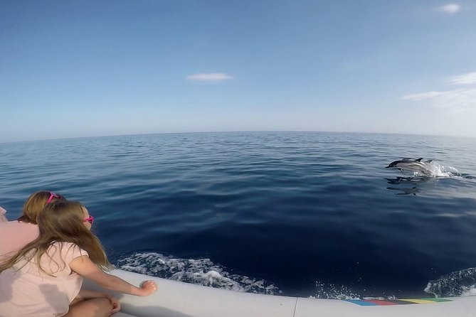 Dolphin Watching & Conservation - Dolphins in the Gulf of Catania - What you get included, and what you should bring anyway