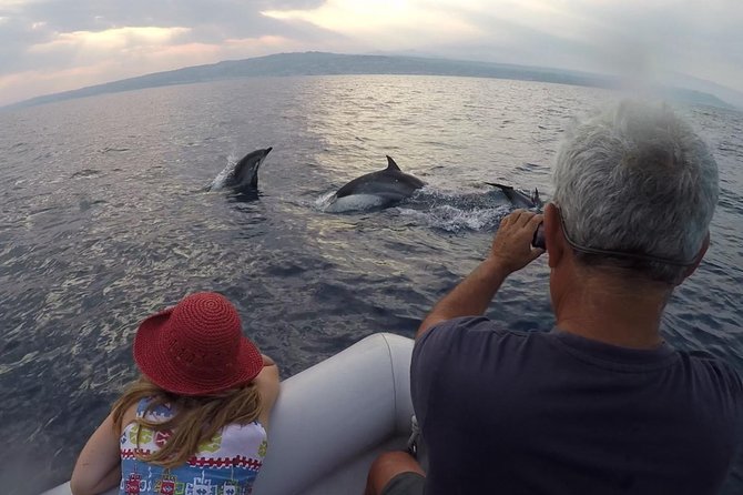 Dolphin Watching & Conservation - Dolphins in the Gulf of Catania - On-the-water timing: how the 3 hours typically play out