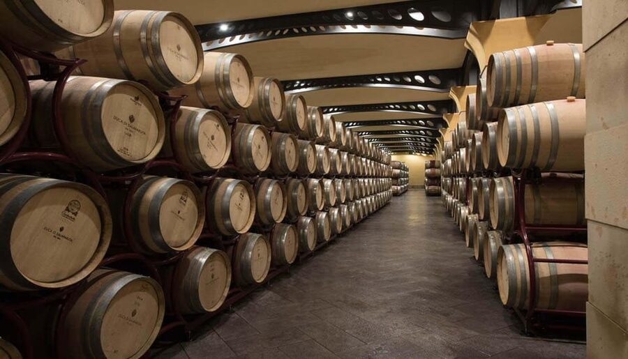 Duca di Salaparuta Winery : Tour Doc Sicily - Inside the Cellar: What You Actually Do on the Tour