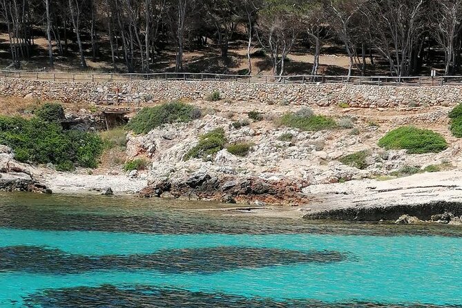 Egadi Islands Boat Tour: Favignana and Levanzo with Lunch - Levanzo Snorkeling and a Sunset Toast at Cala Fredda