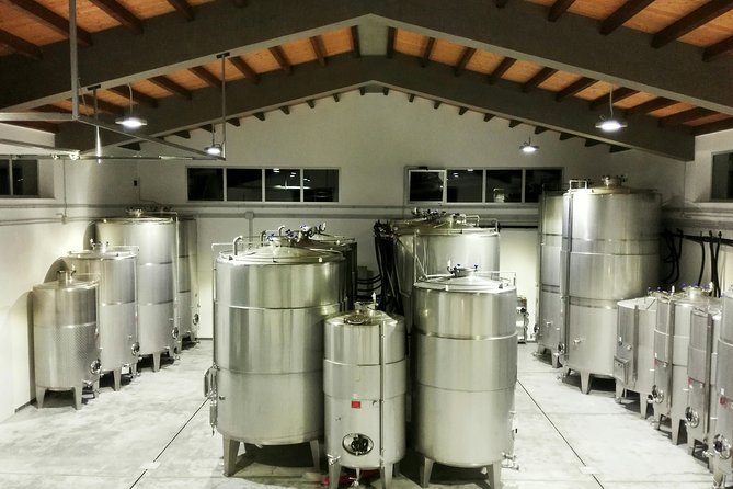 Embark on a Sicilian Wine Journey - Key things to know before you go to Cantina Quattrocieli