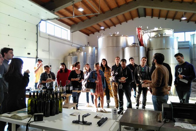 Embark on a Sicilian Wine Journey - Price and value: what $47.93 gets you in real terms