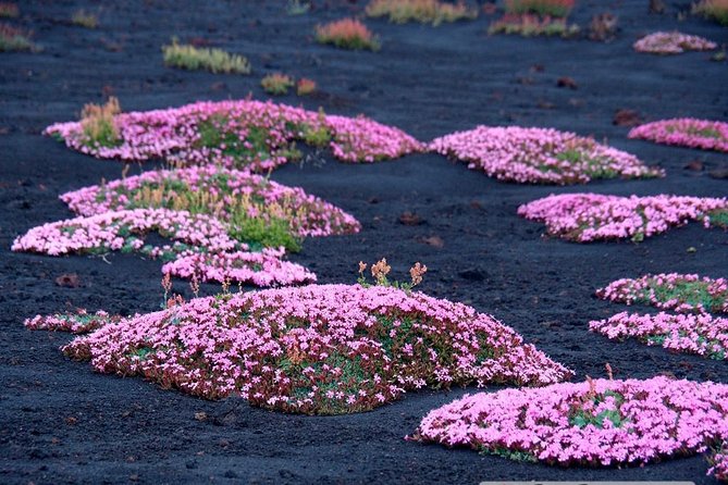 Etna 3000 from the south with Cable Car and trekking – Morning or Afternoon - Who should book this Etna 3000 hike from the south