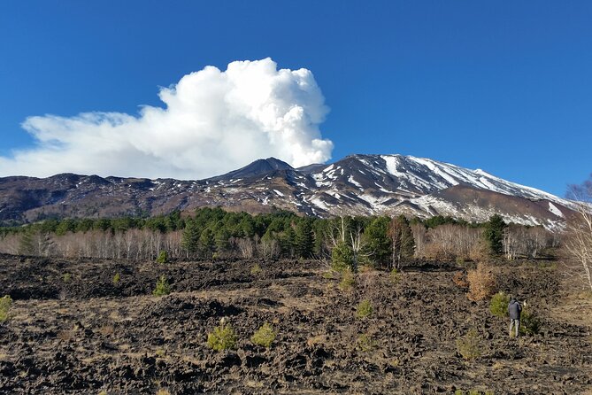 Etna & Alcantara - Piano Provenzana: 2002 eruption context plus honey and liqueurs