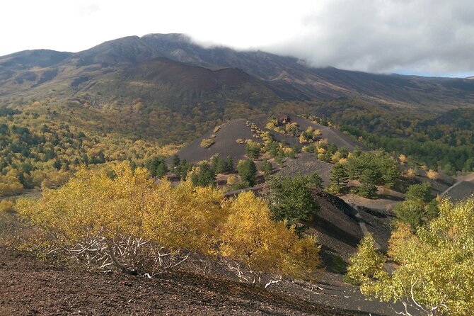 Etna & Alcantara - Gola dell’Alcantara: basalt cliffs and walking to the riverbed