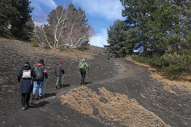 Etna and Taormina con pranzo - Getting Picked Up in Catania, Then Moving Up by Jeep or Minibus