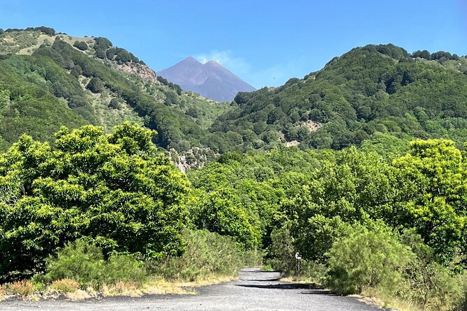 ETNA and TAORMINA departing from PALERMO, Private Tour - How The Palermo Pickup Sets Up a Smooth, Long Day