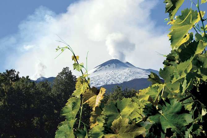 Etna and Wines Tour - Meeting in Catania, then Acitrezza comes into view