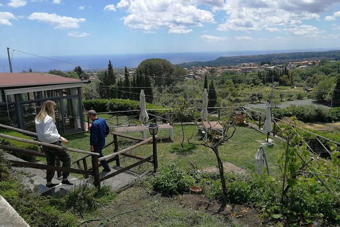 Etna and Wines Tour - Valle del Bove: one stop, big-sky scale