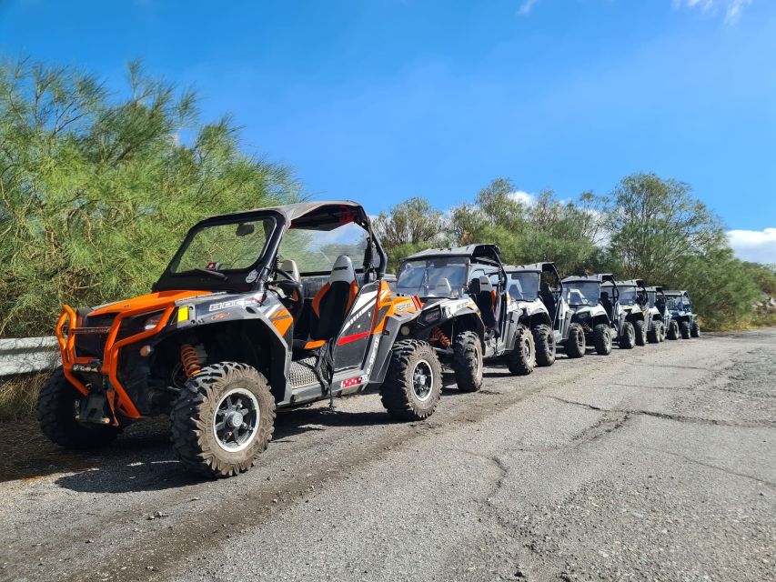 Etna Buggy 4x4 Tour - Walking the Silvestri Craters From the Top