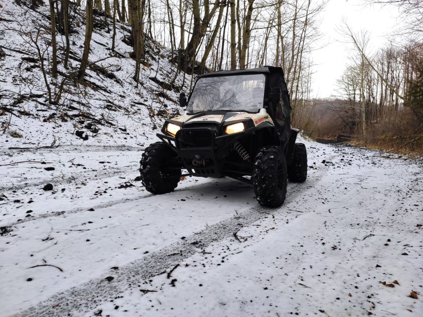 Etna Buggy 4x4 Tour - Price and Value: Is $339.86 Good for a Half-Day on Etna?