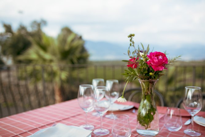 Etna Countryside Food & Wine Lovers Tour (Small Group or Private) - Price and Value Check: What $192.36 Buys You on an Etna Day