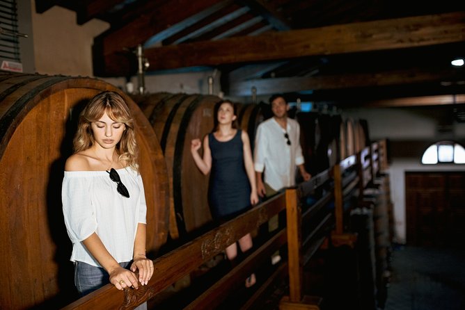Etna Countryside Food & Wine Lovers Tour (Small Group or Private) - Booking Smarter: How to Get the Smoothest Day Possible