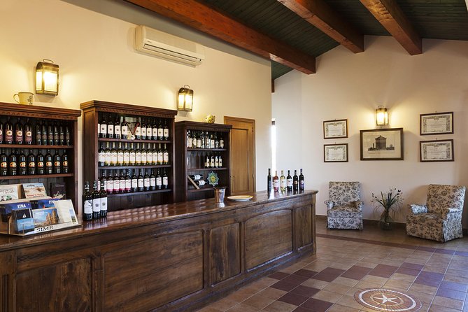 Etna DOC & Organic Wine tasting and tour of the 1815 historic winery - Lunch-style pairing in the tasting: cheese, salami, olives, bread, sweet
