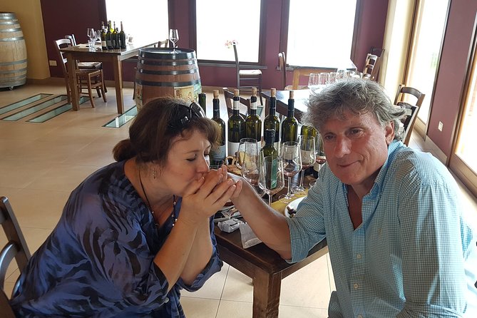 Etna Easy & Winery from Messina, Catania or Taormina/G. Naxos - Etna Easy plus winery time: why this day works