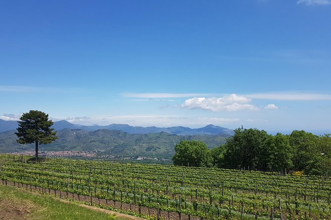 Etna Easy & Winery from Messina, Catania or Taormina/G. Naxos - Stop 1: Silvestri Craters of Mount Etna (about 1 hour)