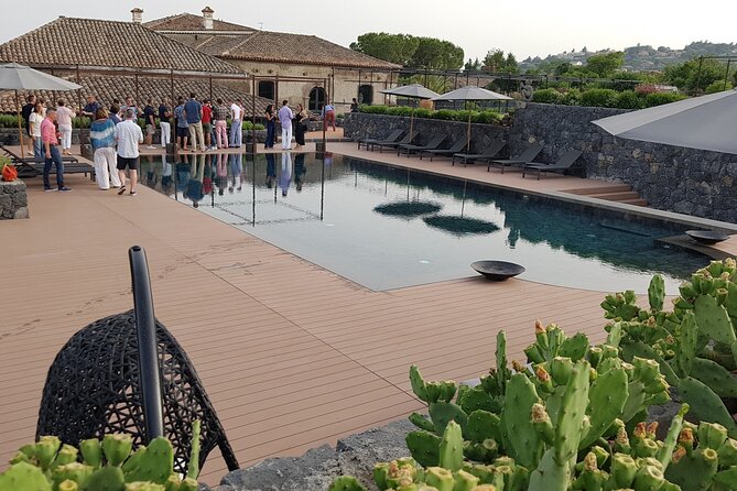 Etna Easy & Winery from Messina, Catania or Taormina/G. Naxos - English guidance and a private-group feel