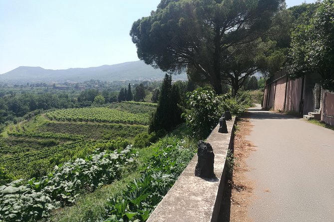 Etna Excursion and Lunch - Wine Tasting in Etna DOC Vinery - Mount Etna From Catania, Without the Stress