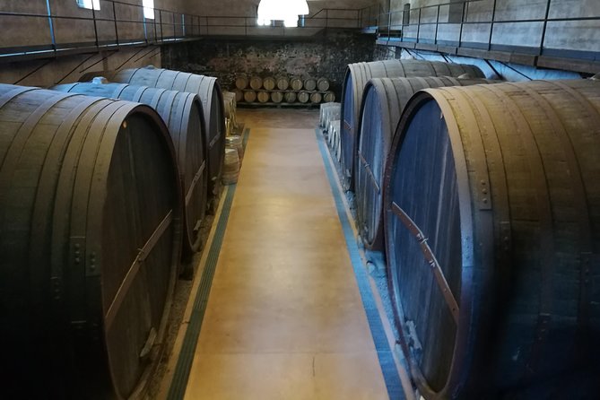 Etna Excursion and Lunch - Wine Tasting in Etna DOC Vinery - The Return to Catania: A City Tour Stop and a Moment to Reset