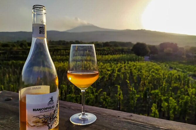 Etna excursion and wine tasting with Sicilian lunch - Why this Mount Etna plus wine day is so popular