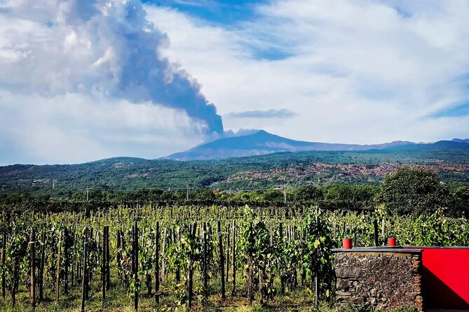 Etna excursion and wine tasting with Sicilian lunch - Timing, group size, and the real value of the $155.34 price