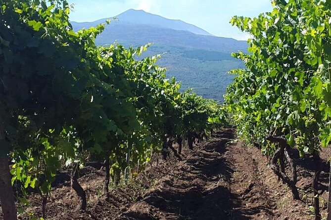 Etna excursion and wine tasting with Sicilian lunch - Who should book this Etna excursion and wine tasting