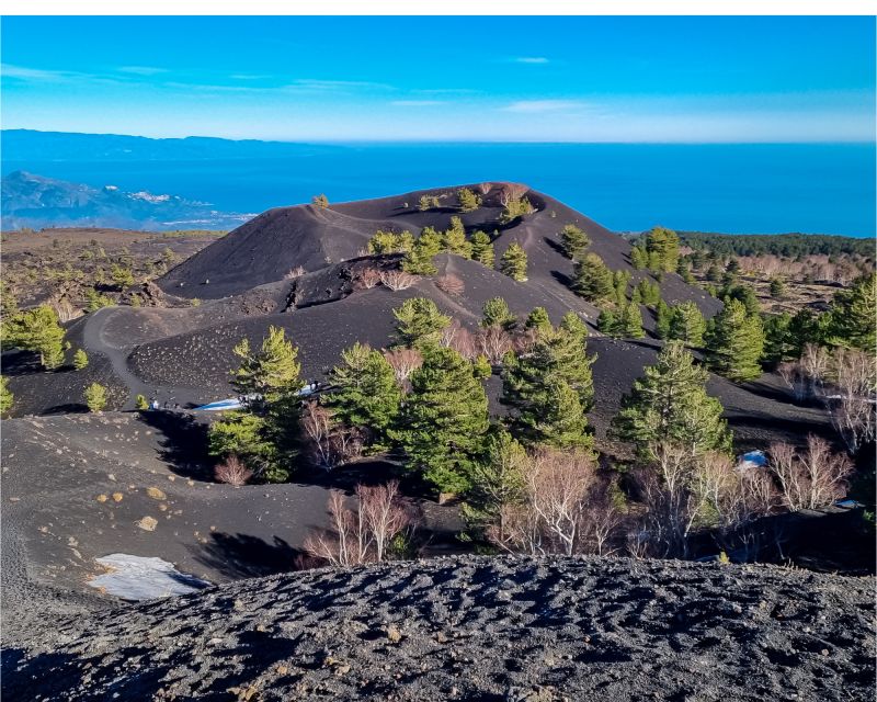 Etna excursion from Catania - Should you book this Etna excursion with Lavika Tour?