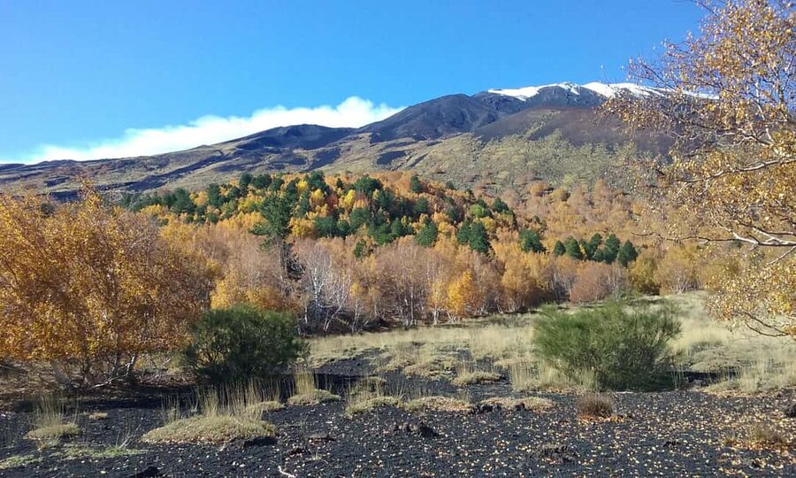 Etna excursion from Taormina and surroundings - Lunch at Chalet Clan dei Ragazzi: altitude food, two menu choices
