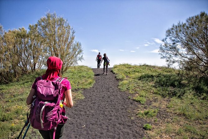 Etna Family Tour Excursion for families with children on Etna - Key tour highlights