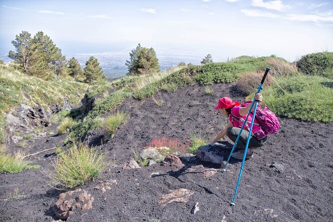 Etna Family Tour Excursion for families with children on Etna - Small groups on Etna: why the guide matters more than you think