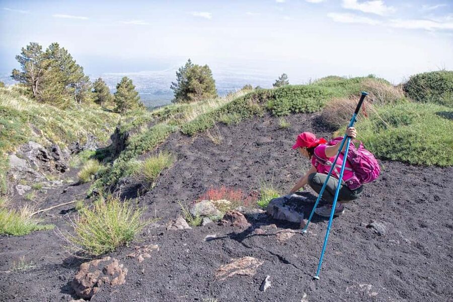 Etna Family Tour: private excursion on Etna mt. for families - Price and value: what $101.96 per person really covers
