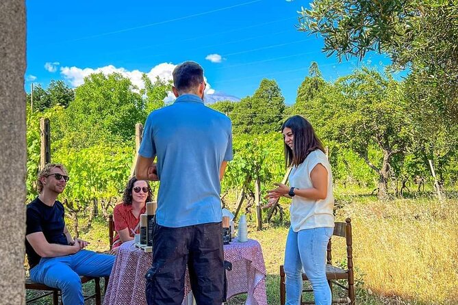 Etna Food and Wine Tour from Taormina - Linguaglossa: olive oil, hazelnuts, and farm tastings you will remember