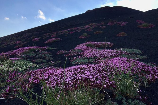 Etna Grantour - 4x4 & trekking - Private tour with lunch included - Grotta Intraleo: Lava Tubes Explained With Helmets and Lights