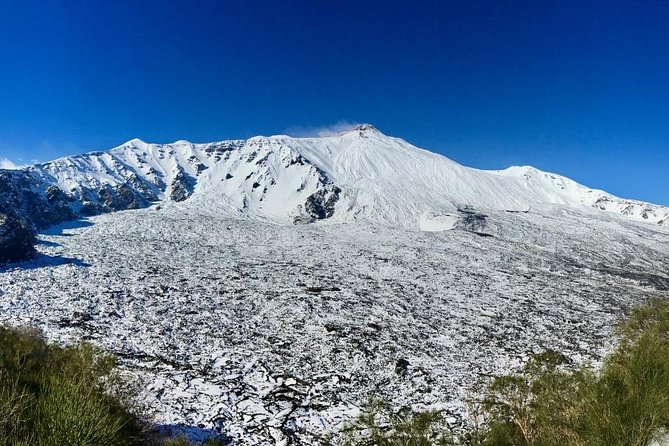 Etna Grantour - 4x4 & trekking - Private tour with lunch included - Price and Value: What $168.19 Covers on Etna