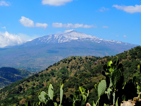 Etna Grantour - 4x4 & trekking - Private tour with lunch included - Silvestri Craters: Lateral Eruption Cones in Plain View
