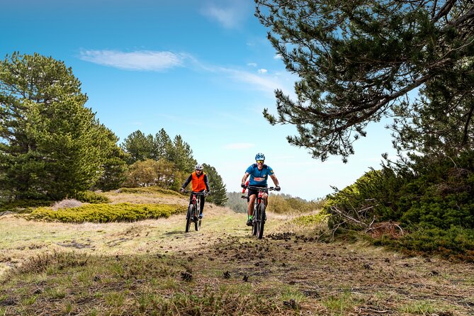 Etna in MTB Half day small group - What the tour includes, and what that means for your day