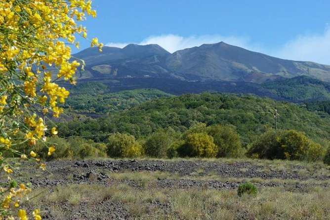Etna Morning Experience: Cave, Trails & Tasting from Syracuse - Mt. Etna on foot: lava fields, craters, and how the guide makes it make sense