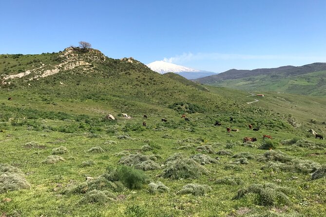 Etna Morning Jeep Tour - Rifugio Sapienza at 1,910 meters: short stop, big altitude feel