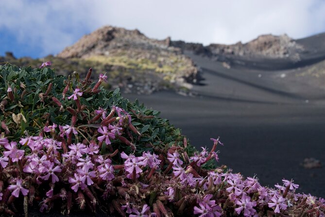 Etna Morning or Sunset - Trek & Lava Tunnel with Gear - Key highlights worth knowing before you go