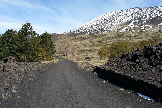 Etna Morning - Pickup Time 08:30 from your Hotel - How long is too long, and who this Etna morning fits best