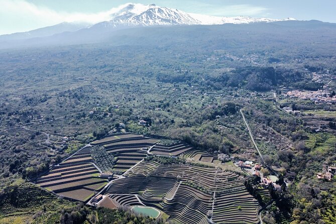 Etna panoramic private tour and Wine taste and food combination - Key Highlights You Should Know