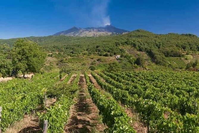 Etna panoramic private tour and Wine taste and food combination - A Private Half-Day That Feels Like Etna, Not a Checklist