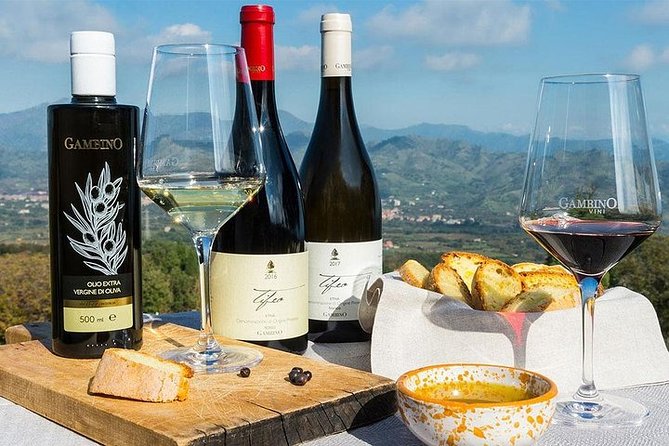 Etna panoramic private tour and Wine taste and food combination - What a Guide Like Sergio Adds to the Day