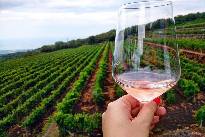 Etna panoramic private tour and Wine taste and food combination - Where the Pickup and Timing Actually Matter in Taormina