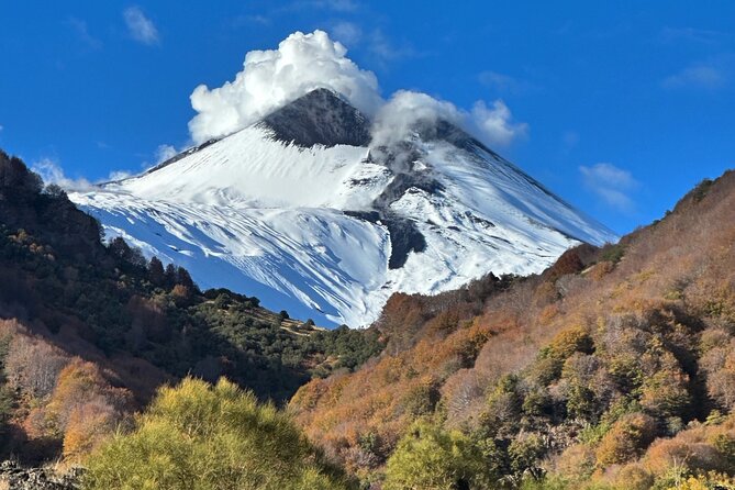 Etna Private Tour and Excursion - Price and value, what $114.93 really covers